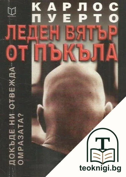 Леден вятър от пъкъла — корица