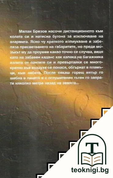 Една банална история — снимка 2