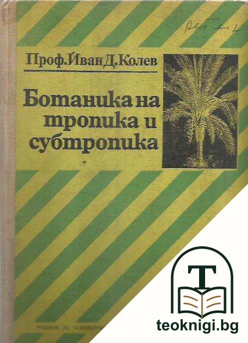 Ботаника на тропика и субтропика — корица