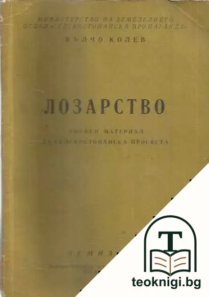 Лозарство — корица