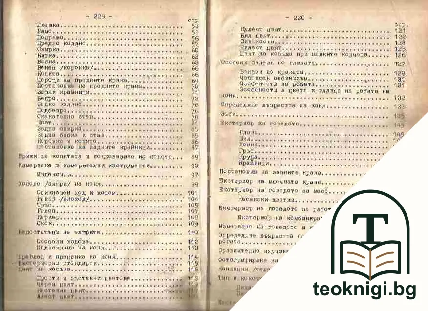 Екстериор на домашните животни — снимка 3