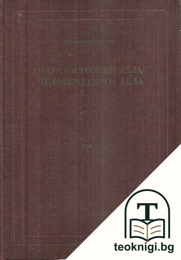 Анатомический атлас человеческого тела. Том 2 — корица