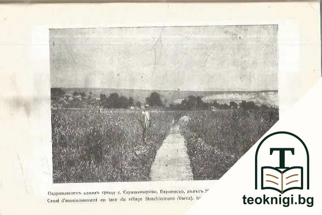 Кръвь и Малария що е треска? — снимка 4