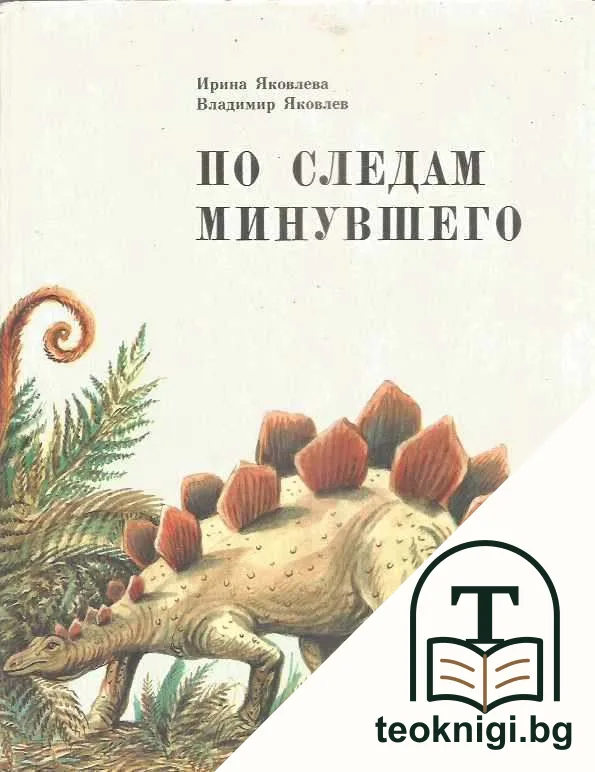 По следам минувшего — корица