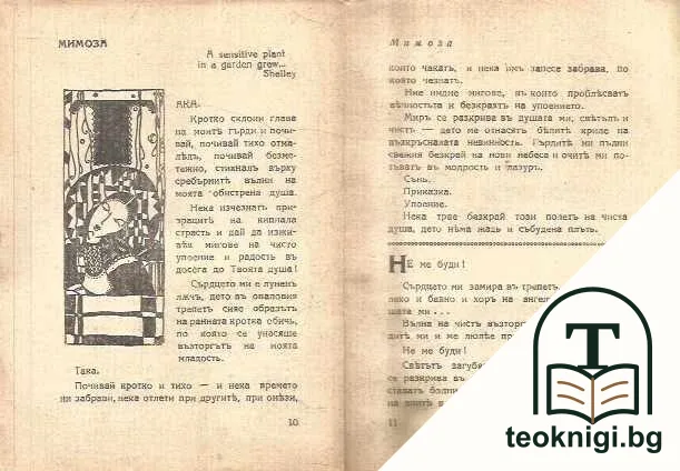 Цветя за него — снимка 3
