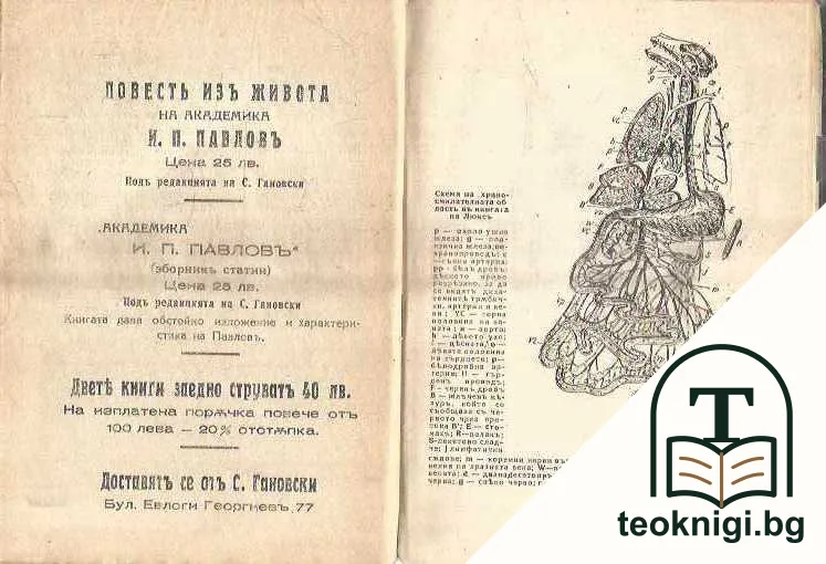 Повесть изъ живота на академика И. П. Павловъ — снимка 3