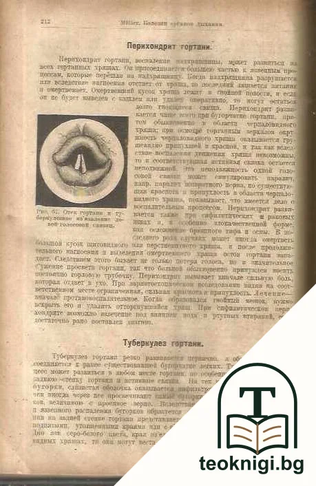 Руководство по внутренним болезням. Том 1 — снимка 3