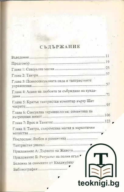 Екстаз чрез тантра — снимка 3