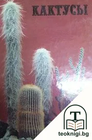 Кактусы — корица