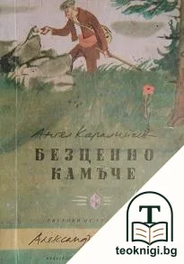Безценно камъче — корица
